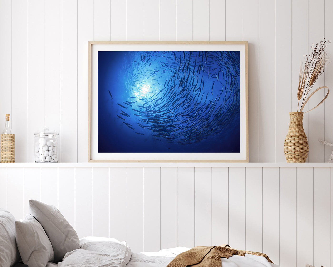 Fischschwarm im Ozean