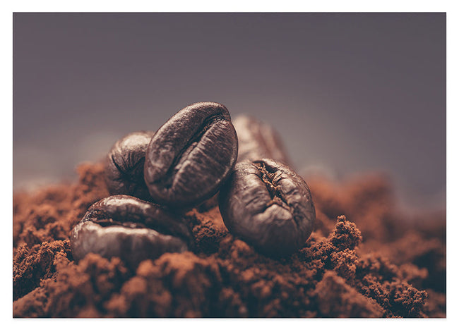 Kaffeebohnen Hover Image