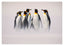 Pinguine im Schnee