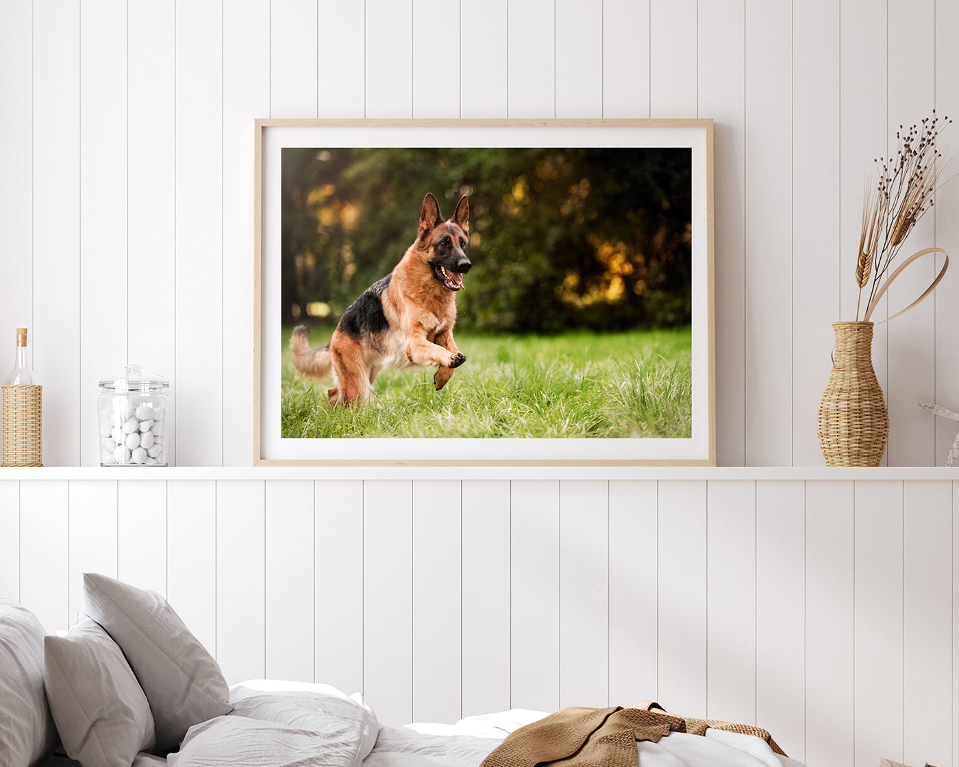 Rennender Schäferhund