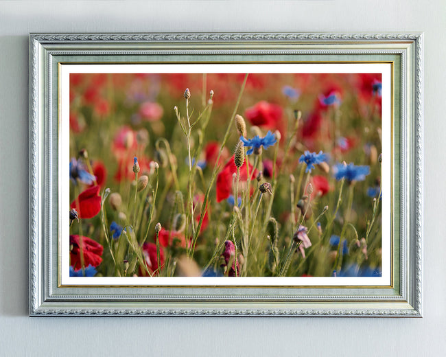 Blumenwiese Main Image