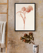 Zeichnung einer Distel