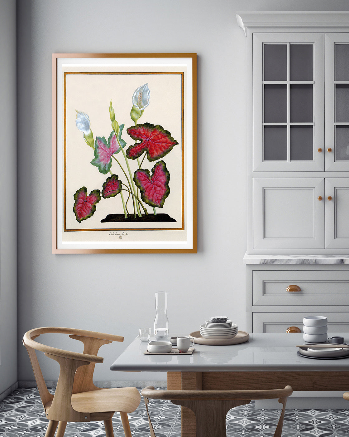 Caladium bicolor - Buntwurz mit roten Blättern