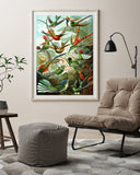 Ernst Haeckel - Vögel im Paradies