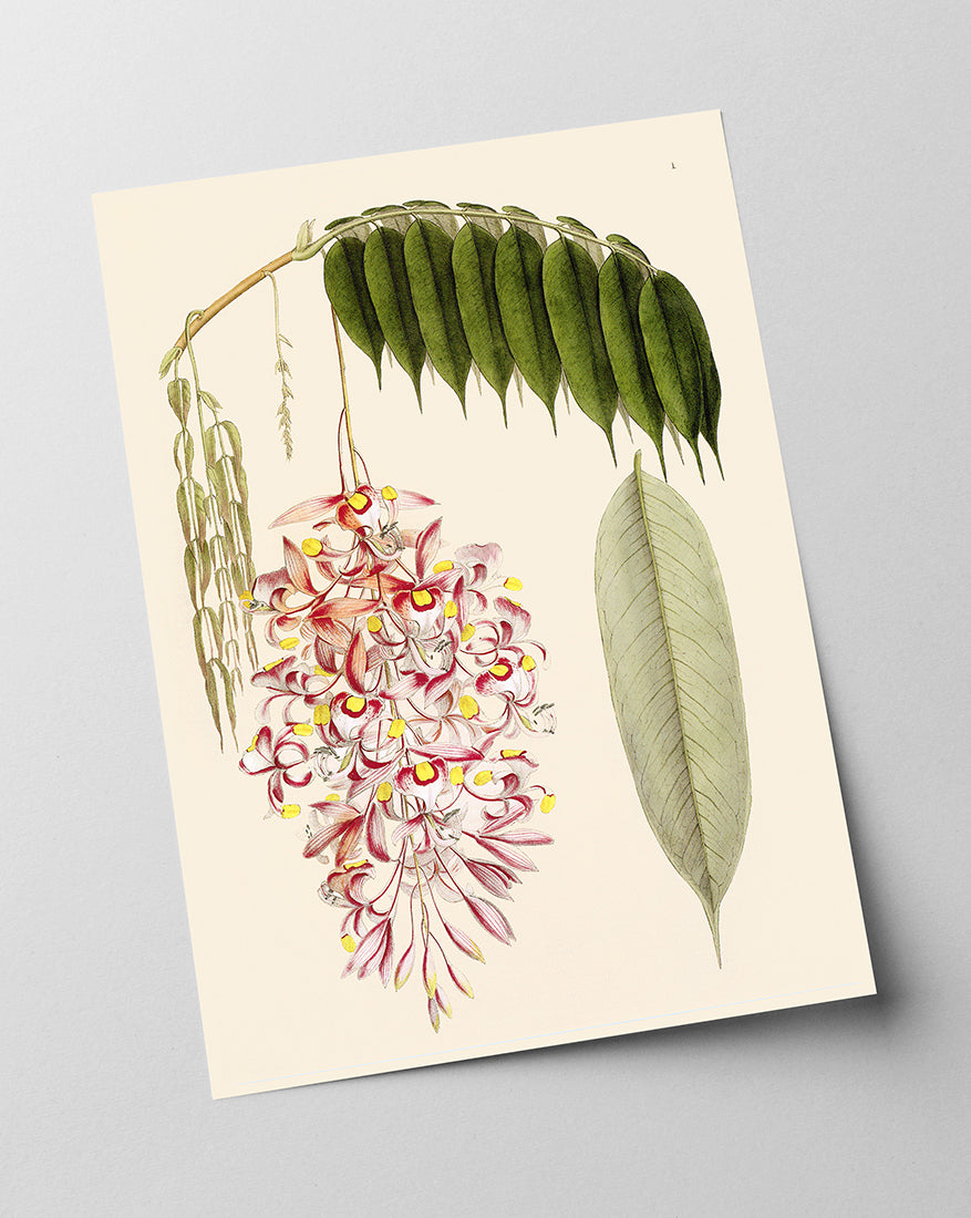 Zweig mit Blättern und Blüten