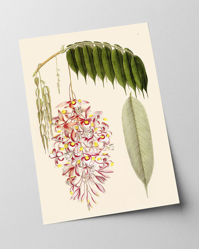 Zweig mit Blättern und Blüten Main Image