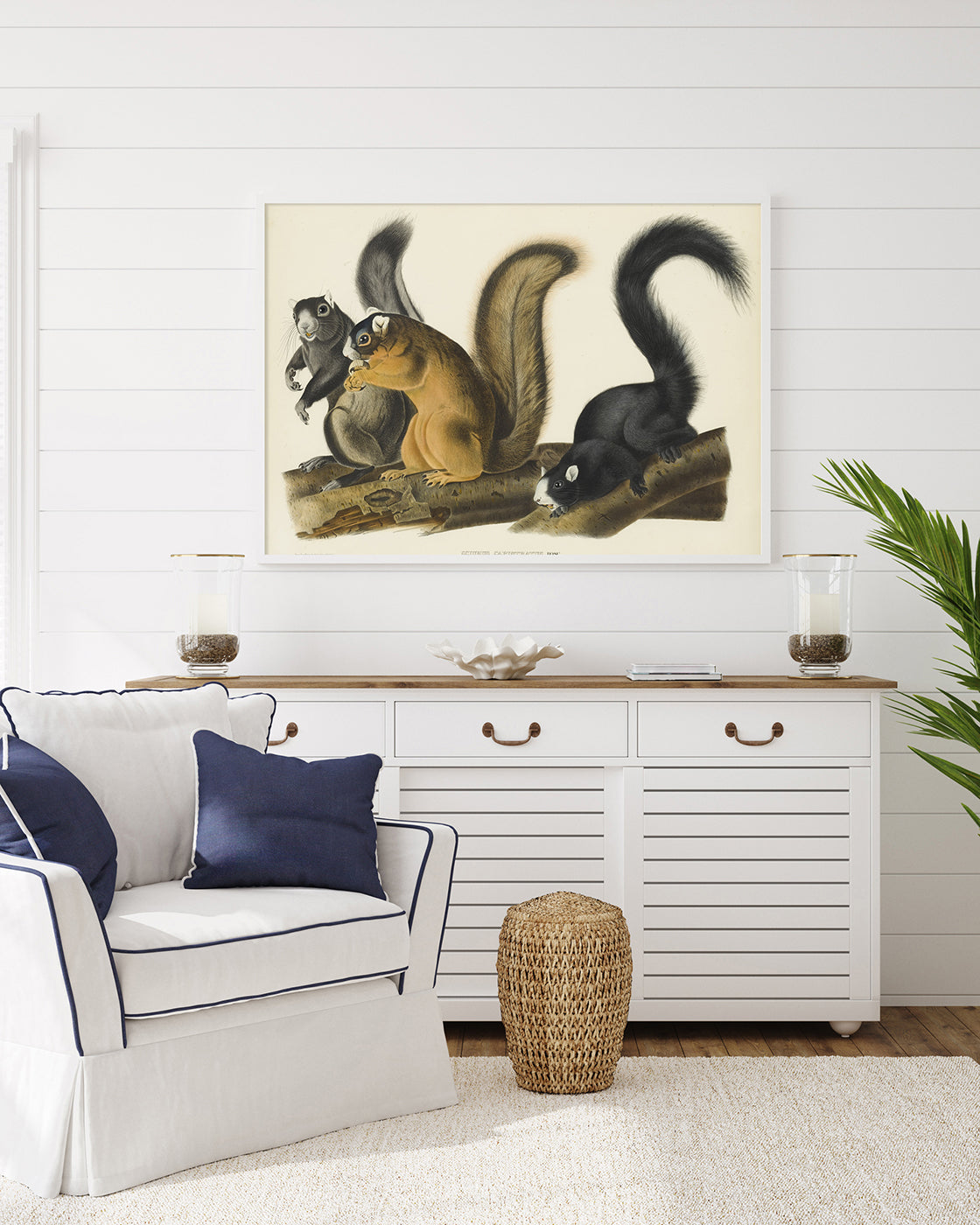 John James Audubon - Eichhörnchen