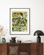 Adolphe Philippe Millot - Vogelarten