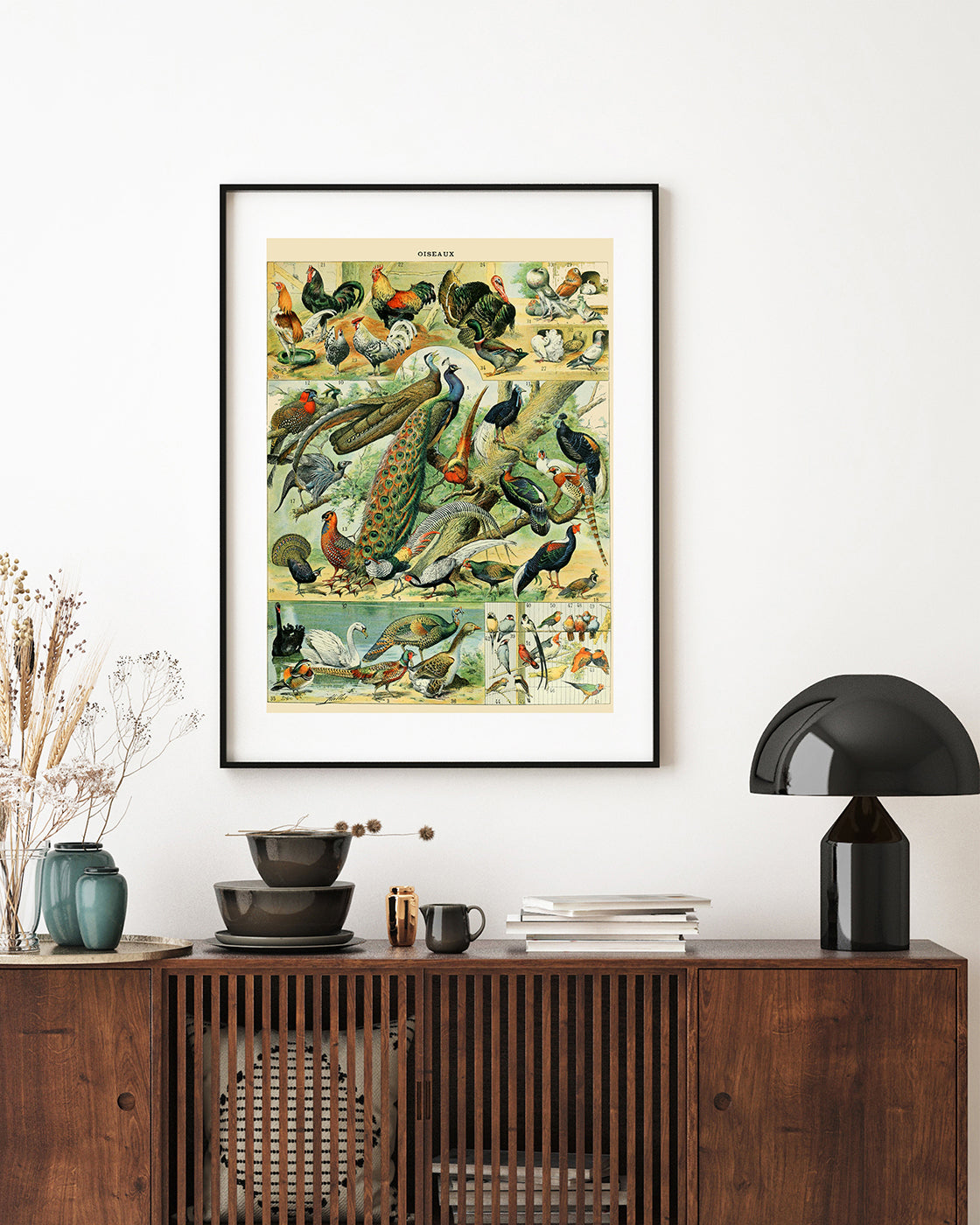 Adolphe Philippe Millot - Vogelarten