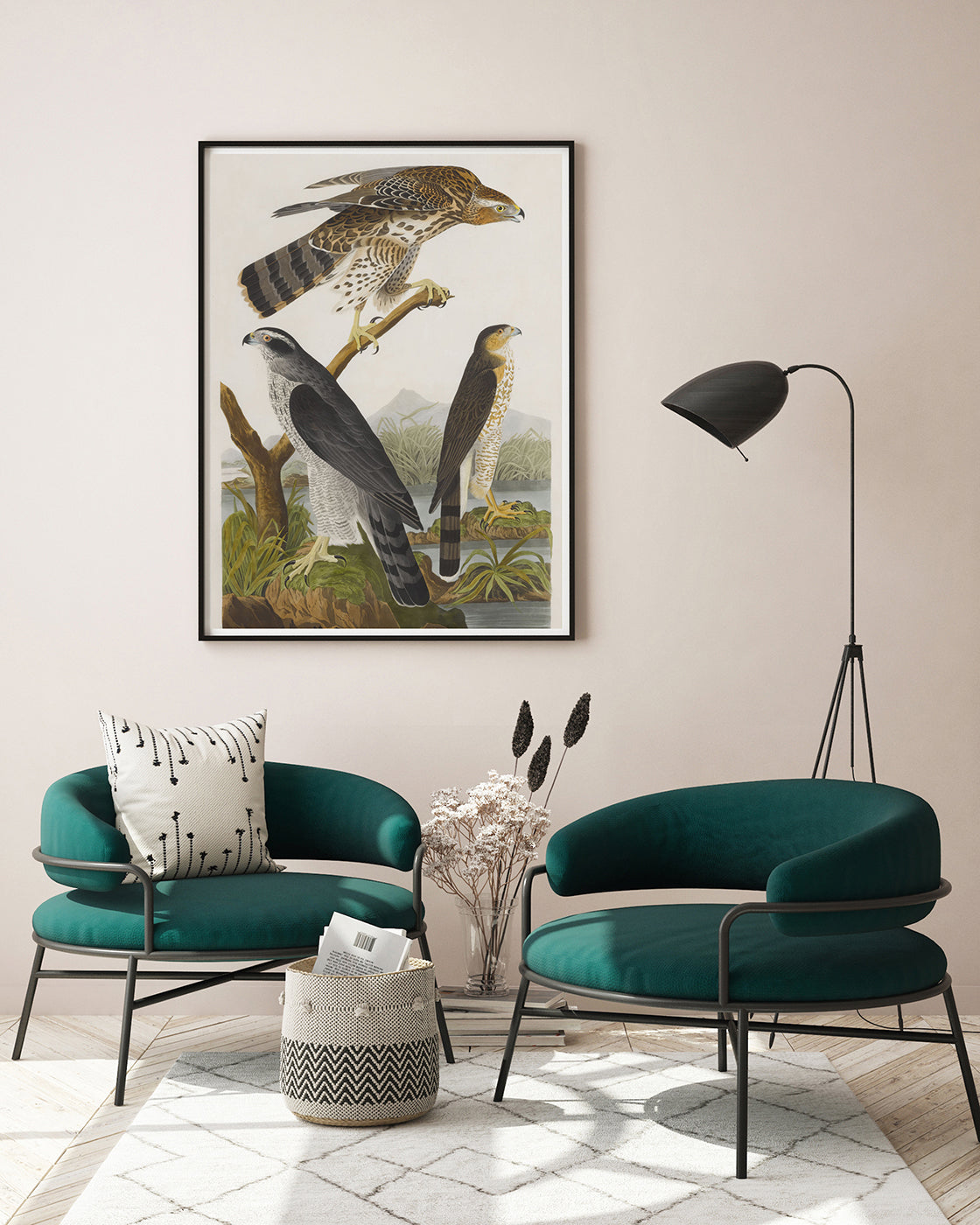 John James Audubon - Drei Greifvogelarten