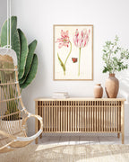 Jacob Marrel - Rot-Weiße Tulpen mit Schmetterling