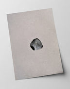 Rosenblatt - Schwarz-Weiß