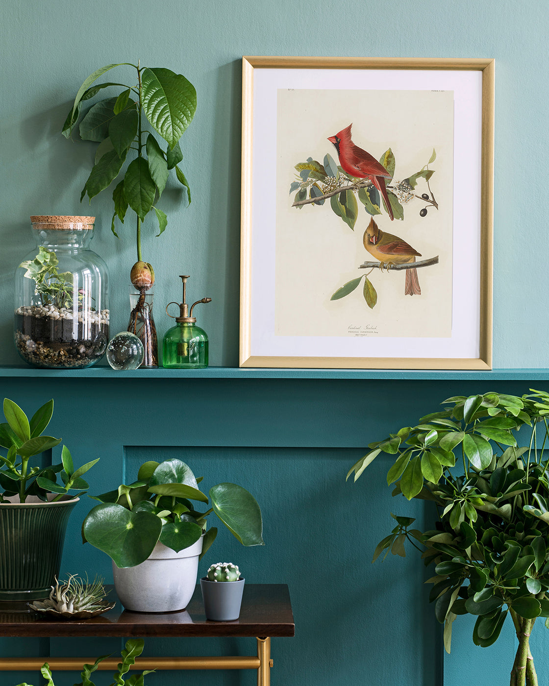 John James Audubon - Bunte Vögel auf Ästen