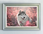 Husky in Blumenwiese