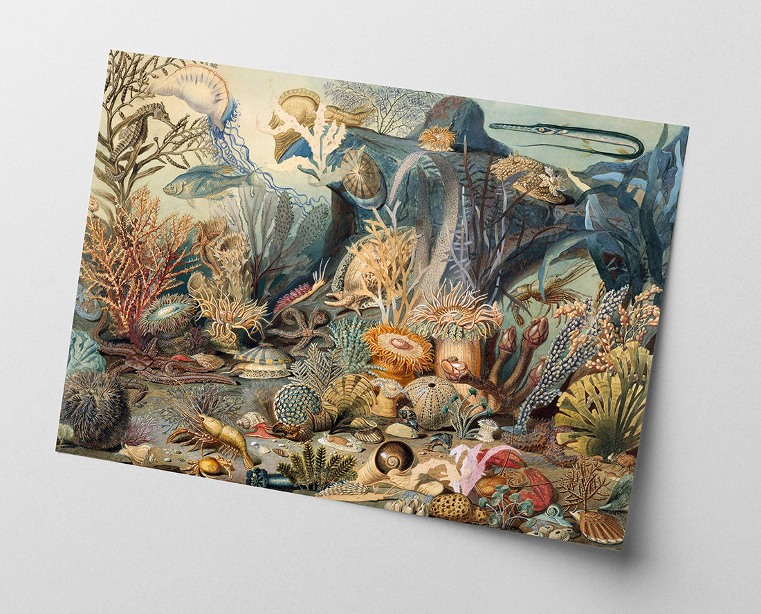 James M. Sommerville - Meeresleben