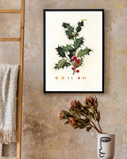 Stechpalme Weihnachten