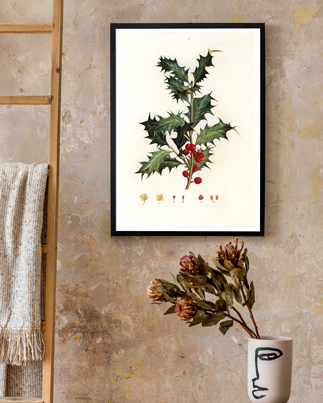 Stechpalme Weihnachten