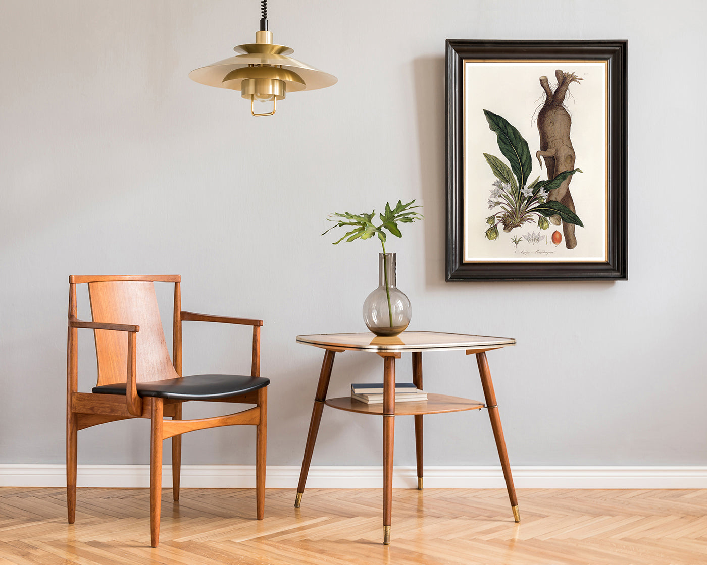 Atropa Mandragora - Gemeine Alraune