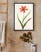 Blume mit orangener Blüte