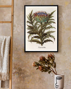 Cinera Cum Flore - Distelblüte