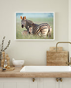 Zebra-Mama und Junges