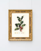 Stechpalme Weihnachten