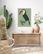 François Levaillant - Tukan auf grünem Hintergrund