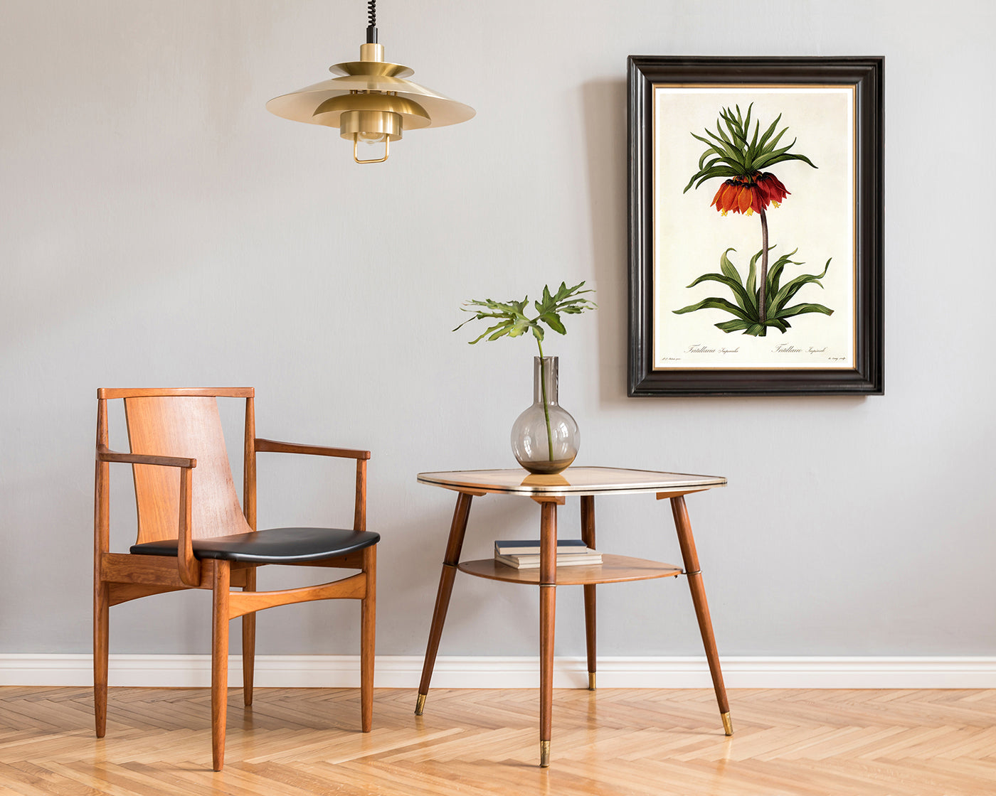 Fritillaria Imperialis - Kaiserkrone