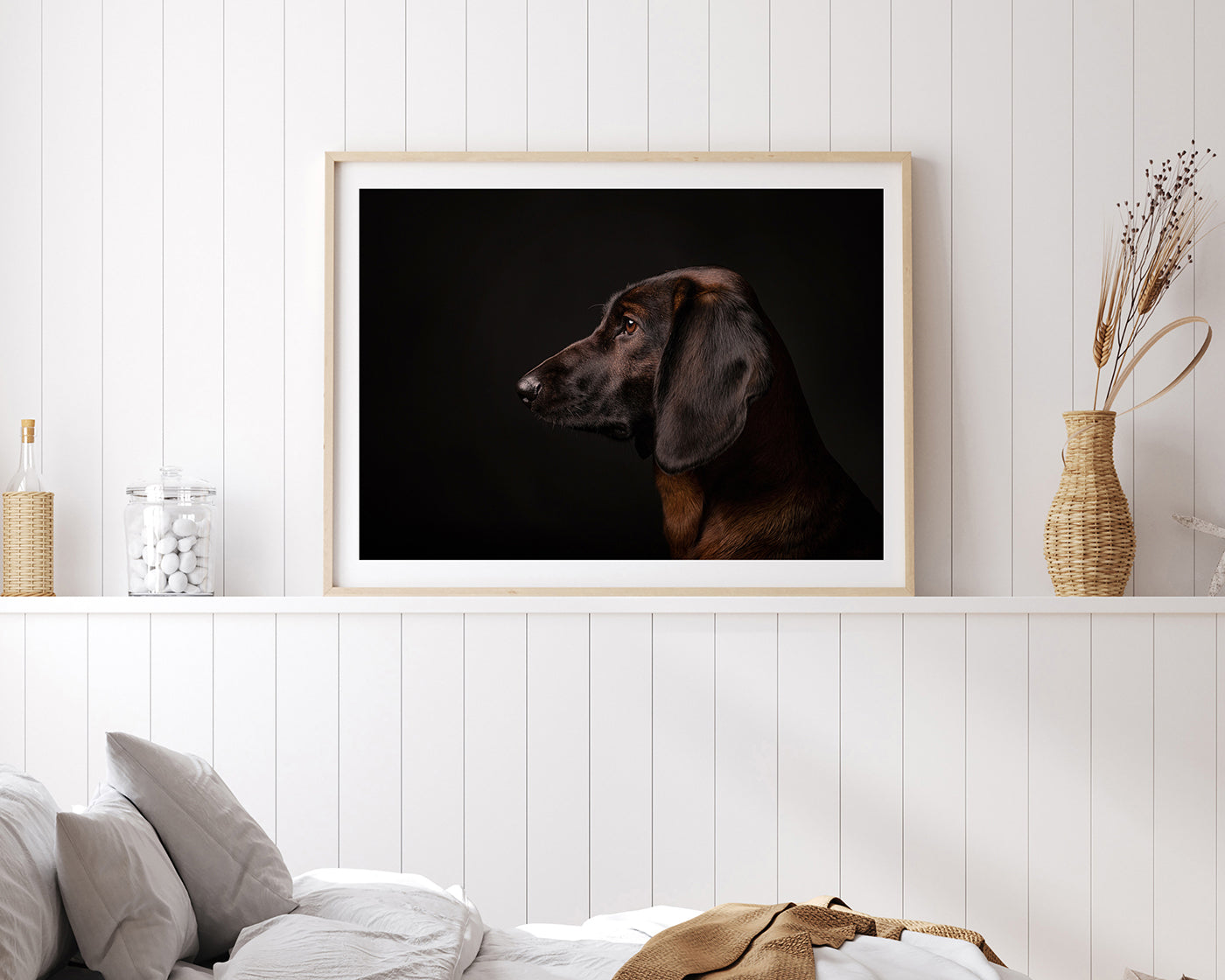 Bayerischer Gebirgsschweißhund - Jagdhund