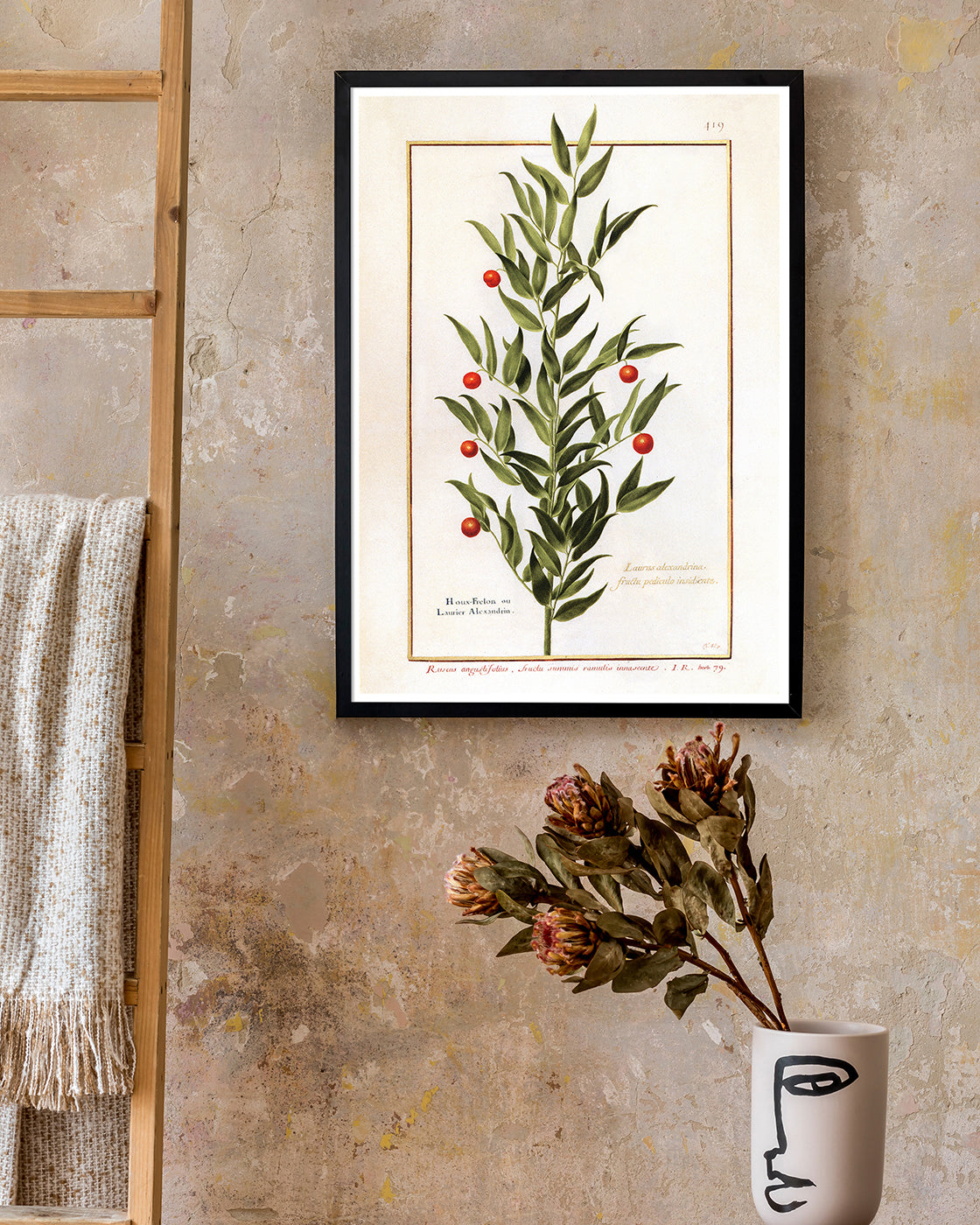 Houx Frelon - Stechpalme