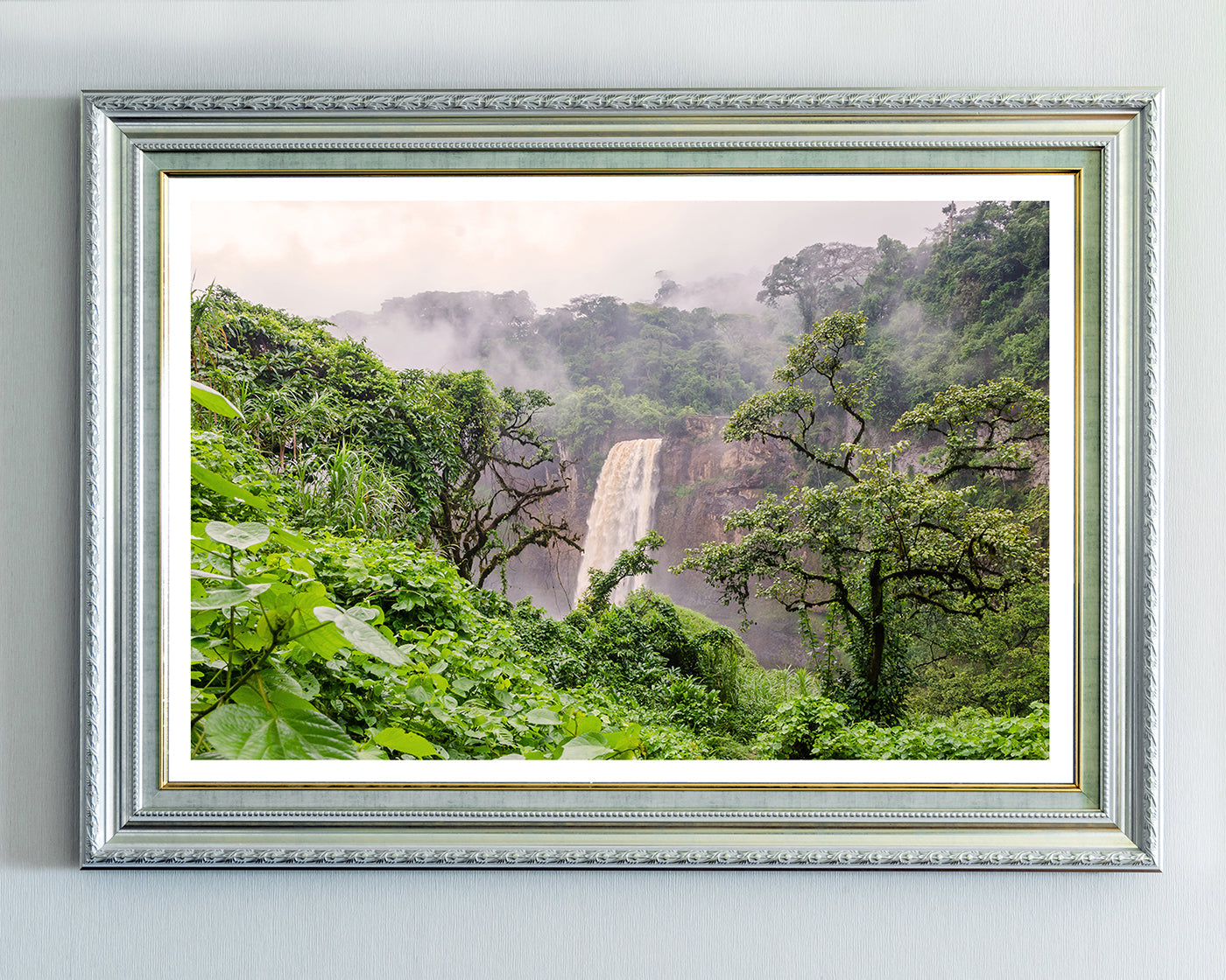 Asiatischer Regenwald