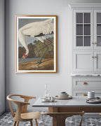 John James Audubon - Storch auf Nahrungssuche