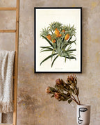 Ananas am Ananasbaum