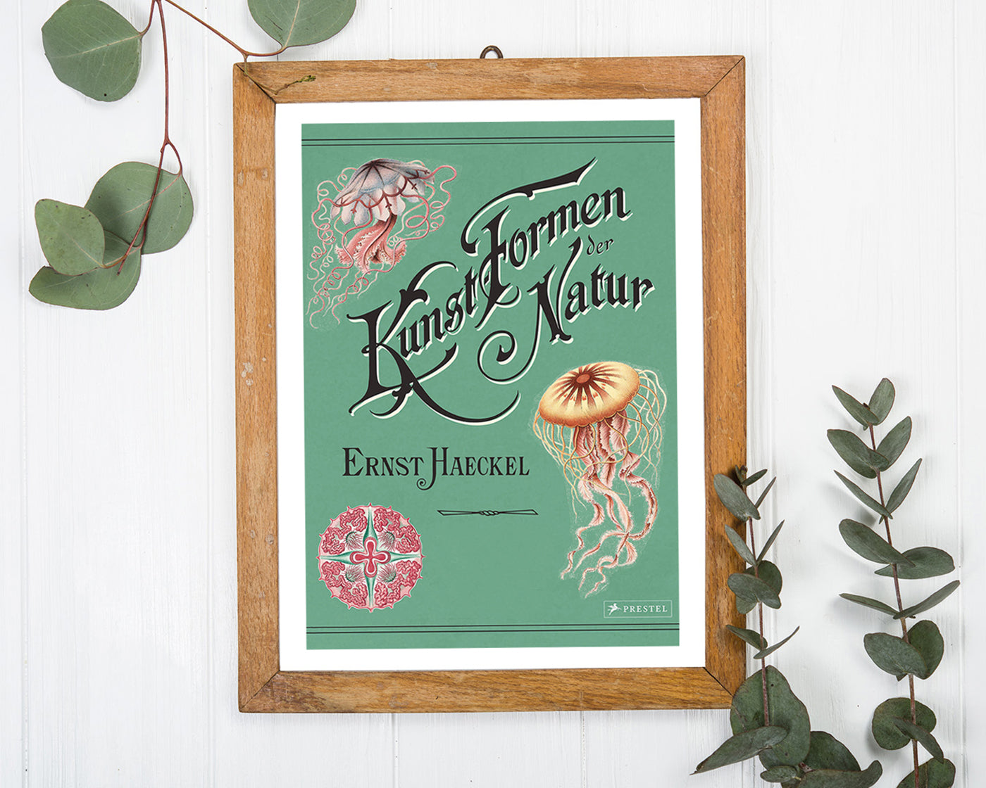 Ernst Haeckel - Kunstformen der Natur