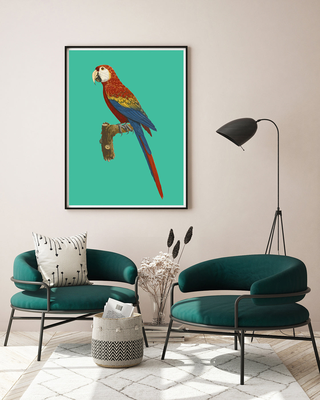 François Levaillant - Ara auf türkisem Hintergrund