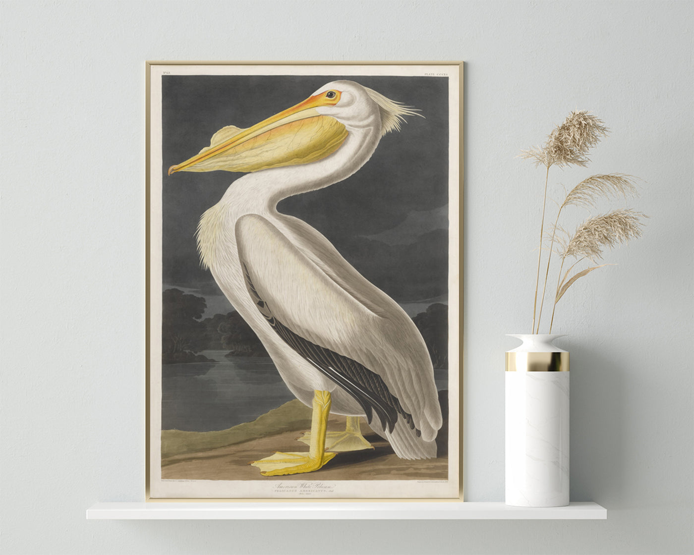 John James Audubon - Pelikan