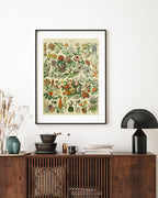 Adolphe Philippe Millot - Vintage Blumen-Übersicht