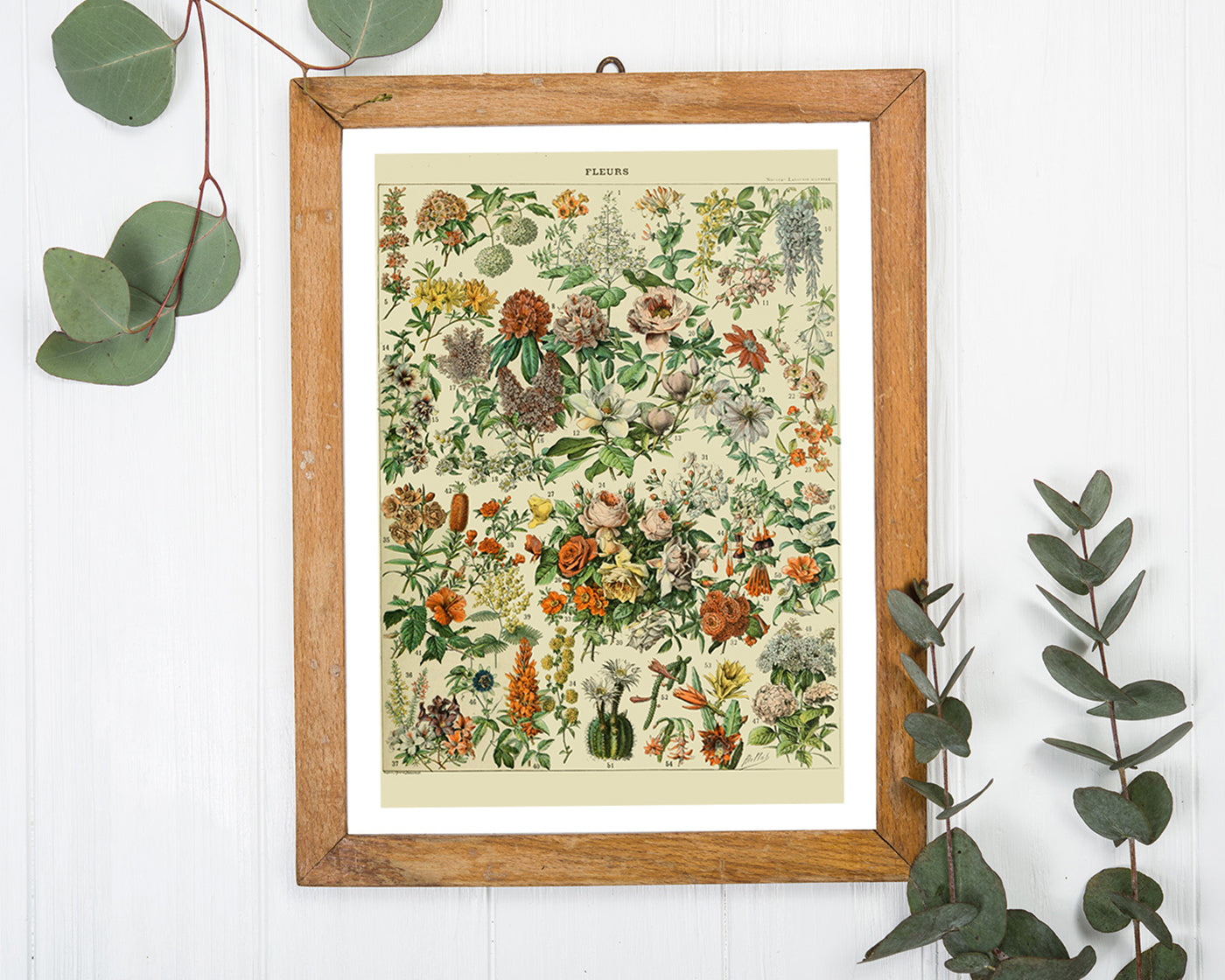 Adolphe Philippe Millot - Vintage Blumen-Übersicht