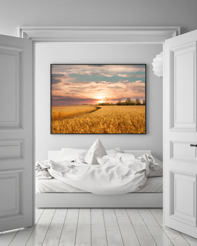 Sommer-Feld Main Image