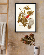 Beeren und Blüten am Zweig