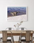 Rennender Schneeleopard