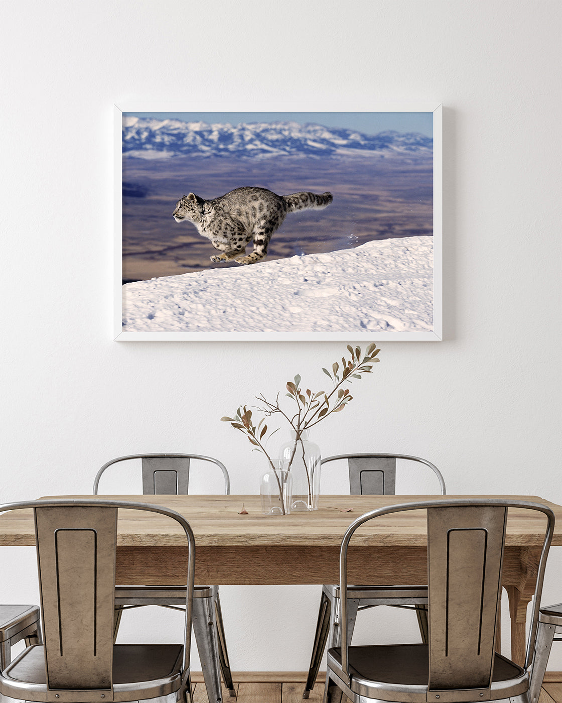 Rennender Schneeleopard