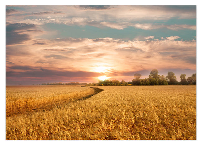 Sommer-Feld Hover Image