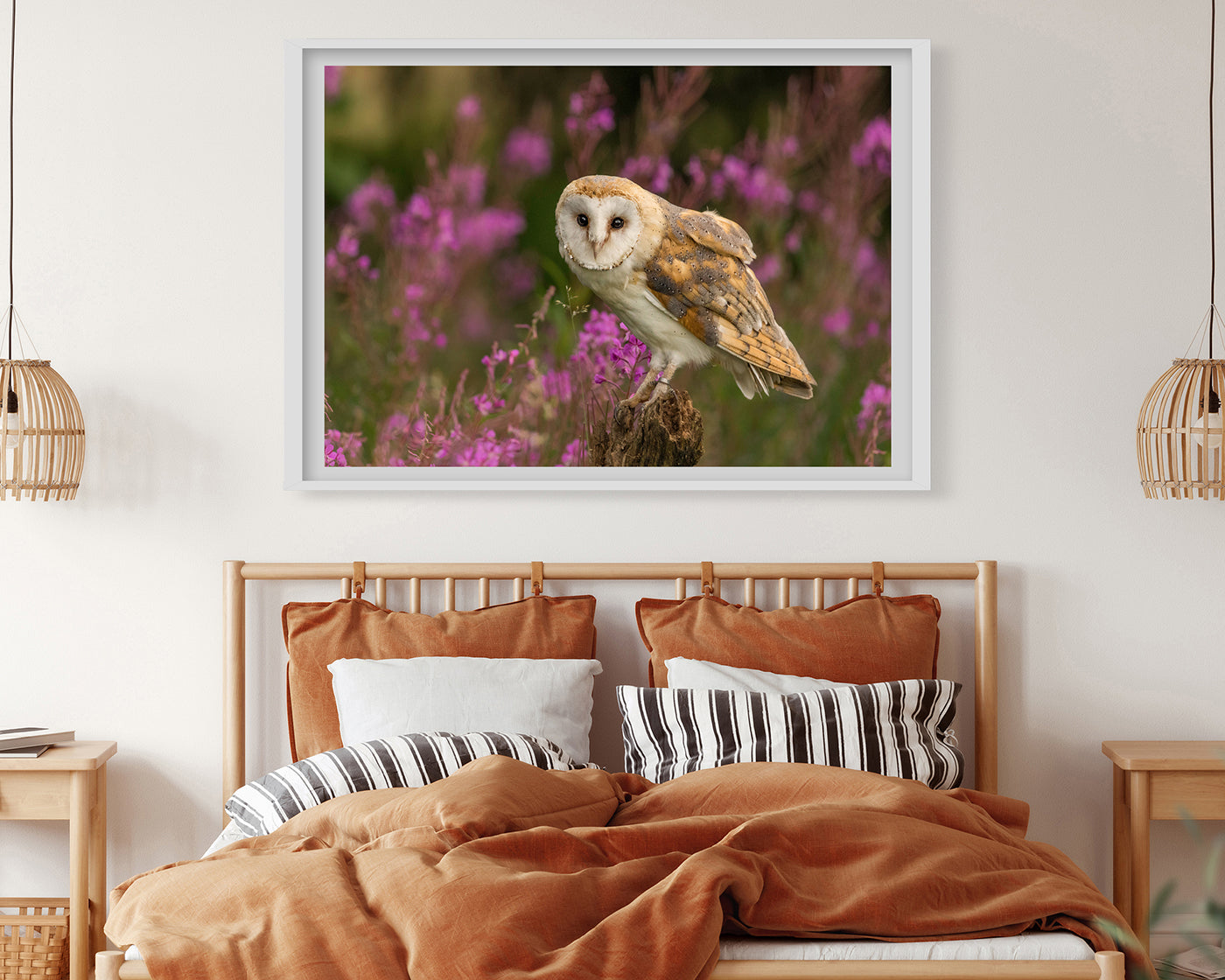 Eule in Blumenlandschaft