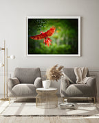 Fliegender roter Papagei