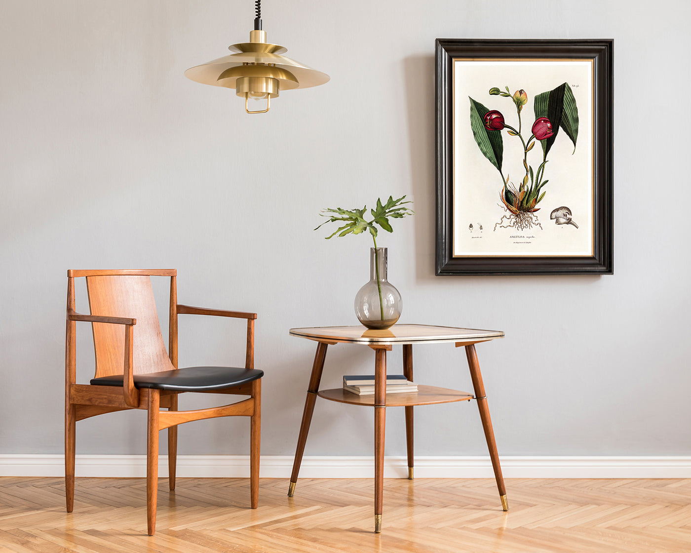 Anguloa Superba - Orchidee