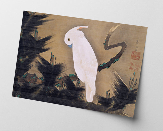 Itō Jakuchū - Weißer Kakadu Main Image