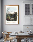 Astrocaryum - Dschungel