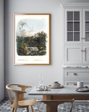 Astrocaryum - Dschungel