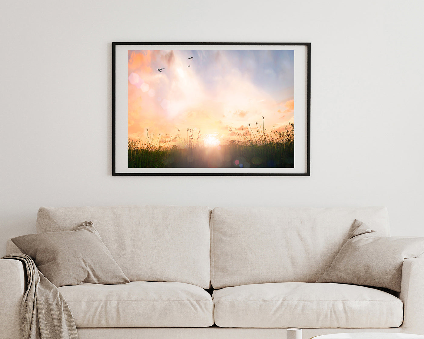 Sonnenstrahlen auf einer Wiese